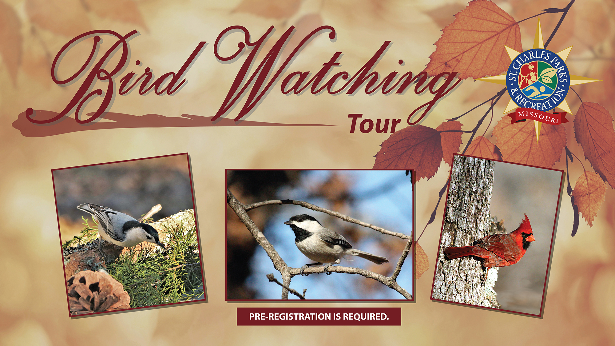 Bird Watching Event Graphic